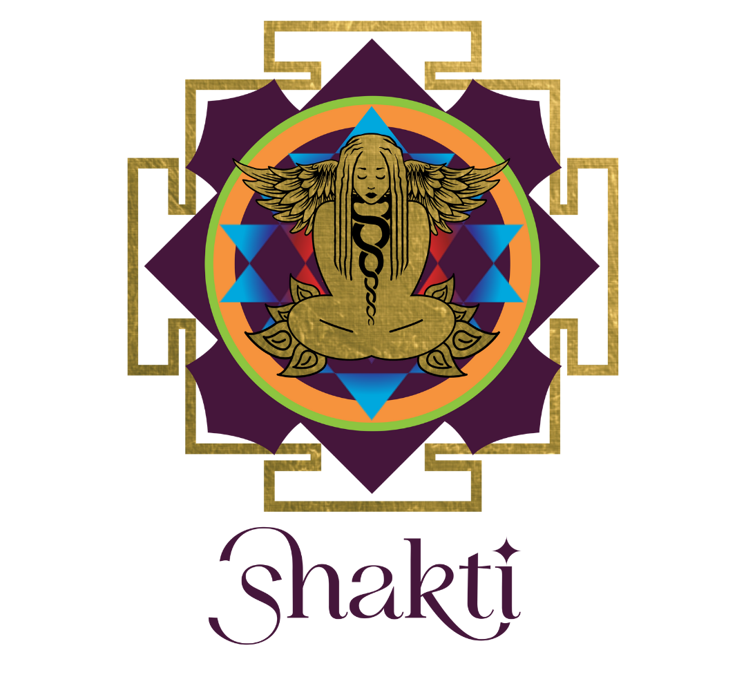 Shakti2-logos-1